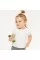 FLEUR ALPINE БАТОНЧИК З ТРОПІЧНИХ ФРУКТІВ МАНГО 20ГР